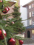 906736 Afbeelding van kerstbomen met rode kerstballen op het binnenterrein van Museum Catharijneconvent (Lange ...